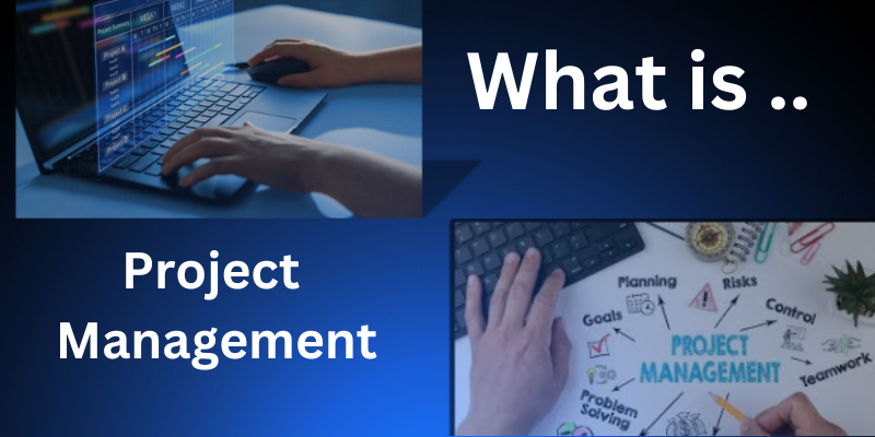 What is Project Management