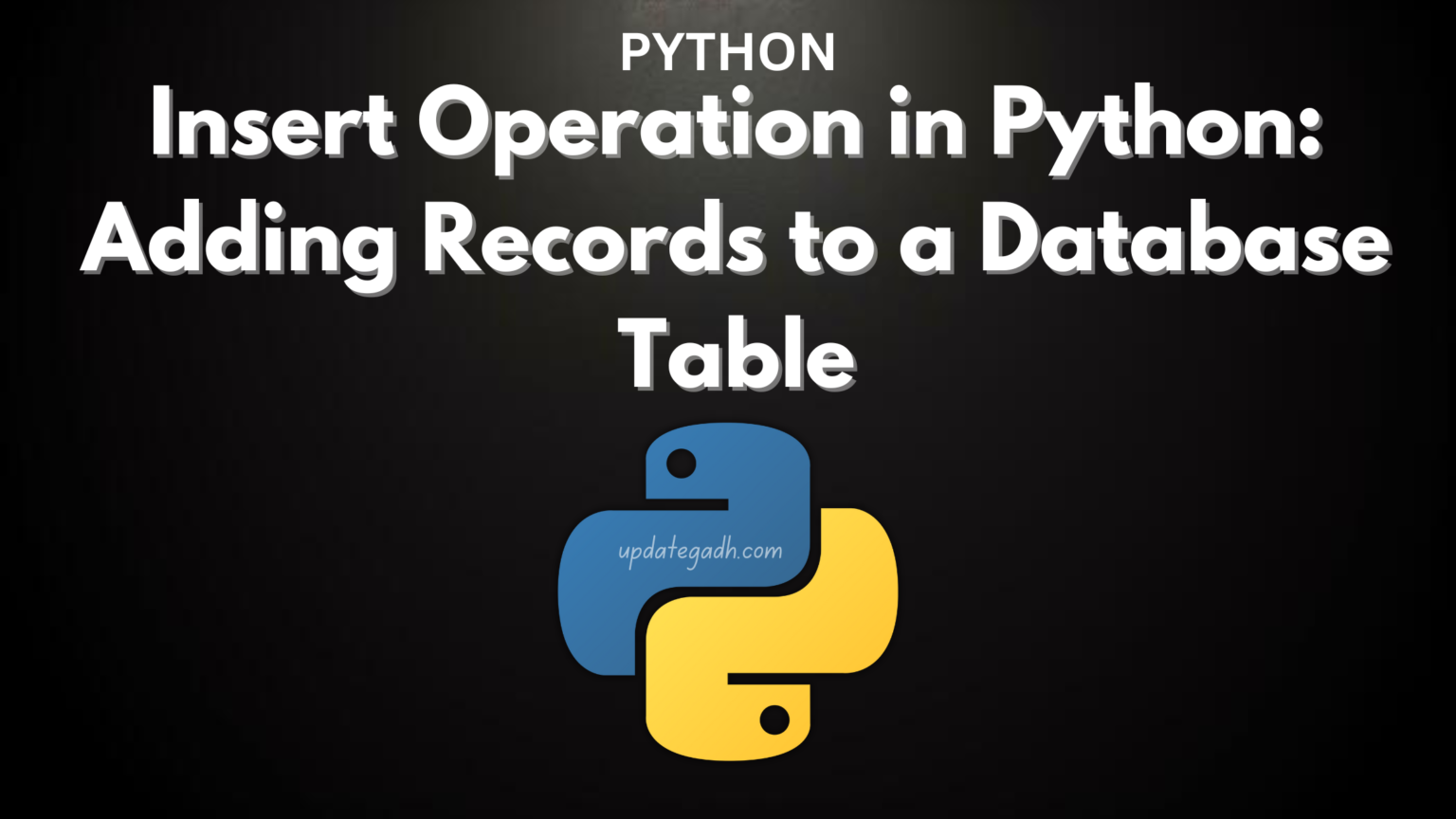 Insert Operation in Python