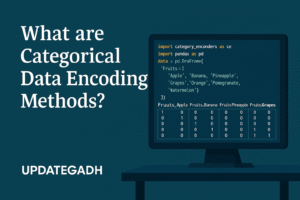 Categorical Data Encoding Methods