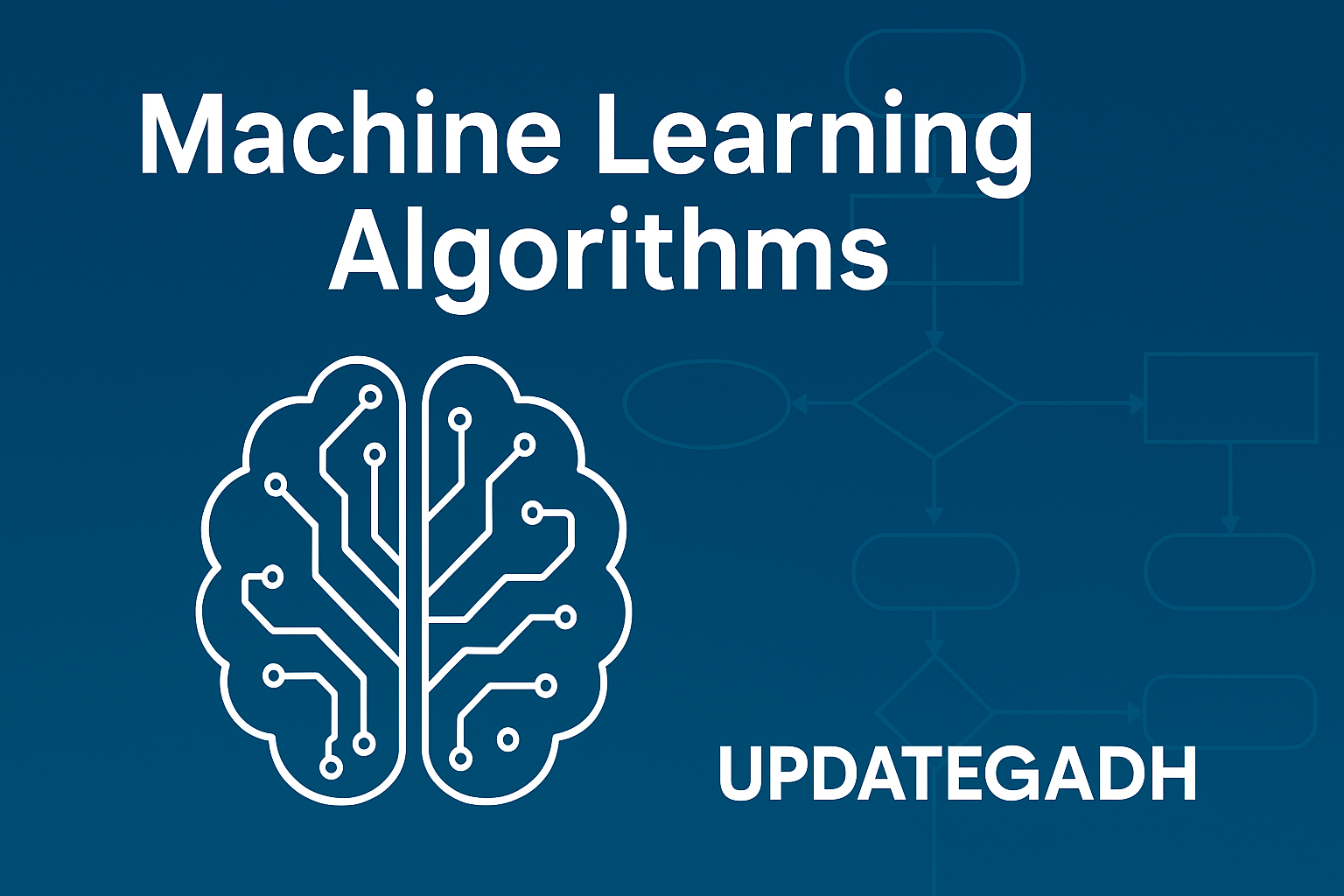 Machine Learning Algorithms