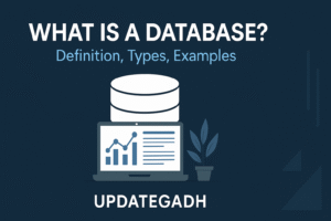 What is a Database