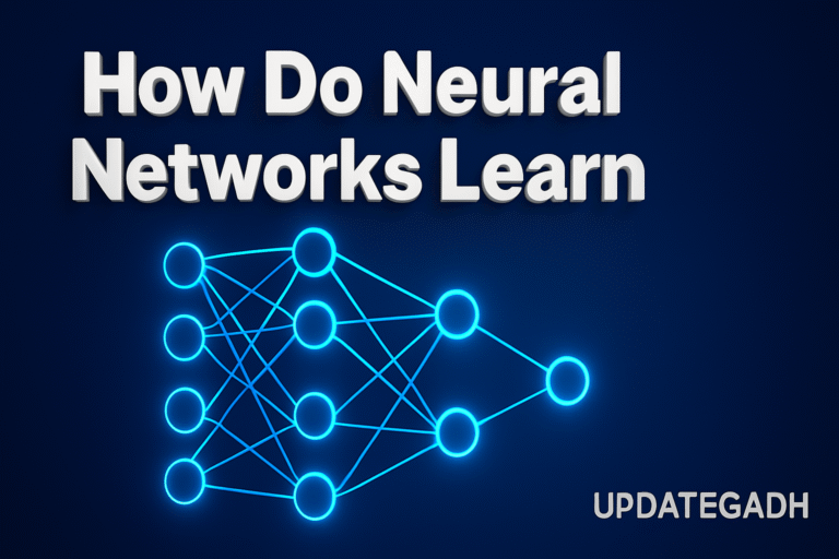 How Do Neural Networks Learn
