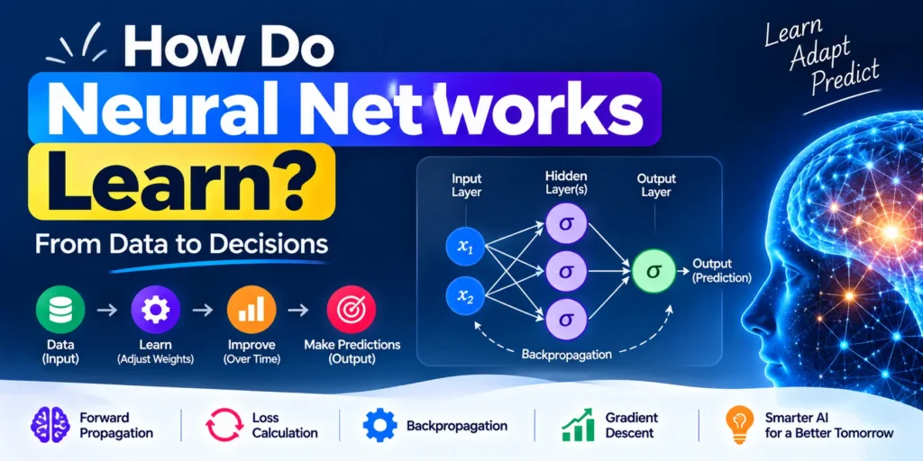 How Do Neural Networks Learn