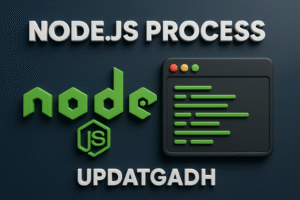 Node.js Process