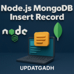 Node.js MongoDB Insert Record