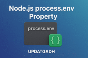 Node.js process.env Property