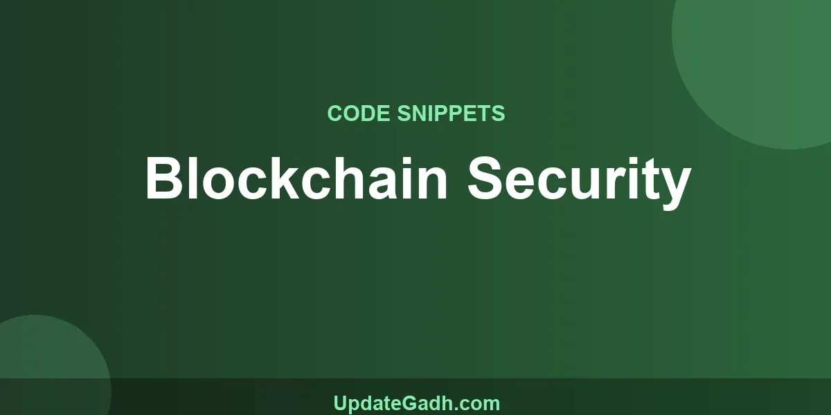 Blockchain Security
