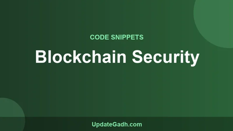 Blockchain Security