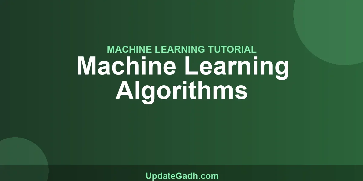 Machine Learning Algorithms