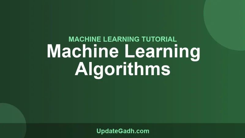 Machine Learning Algorithms