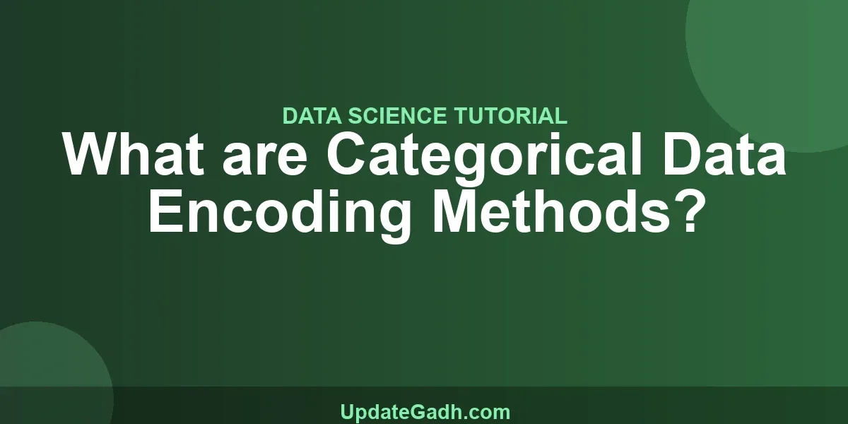 What are Categorical Data Encoding Methods?