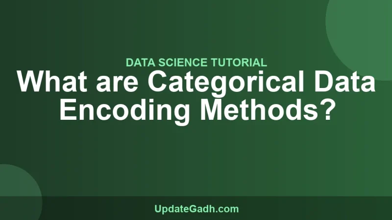 What are Categorical Data Encoding Methods?