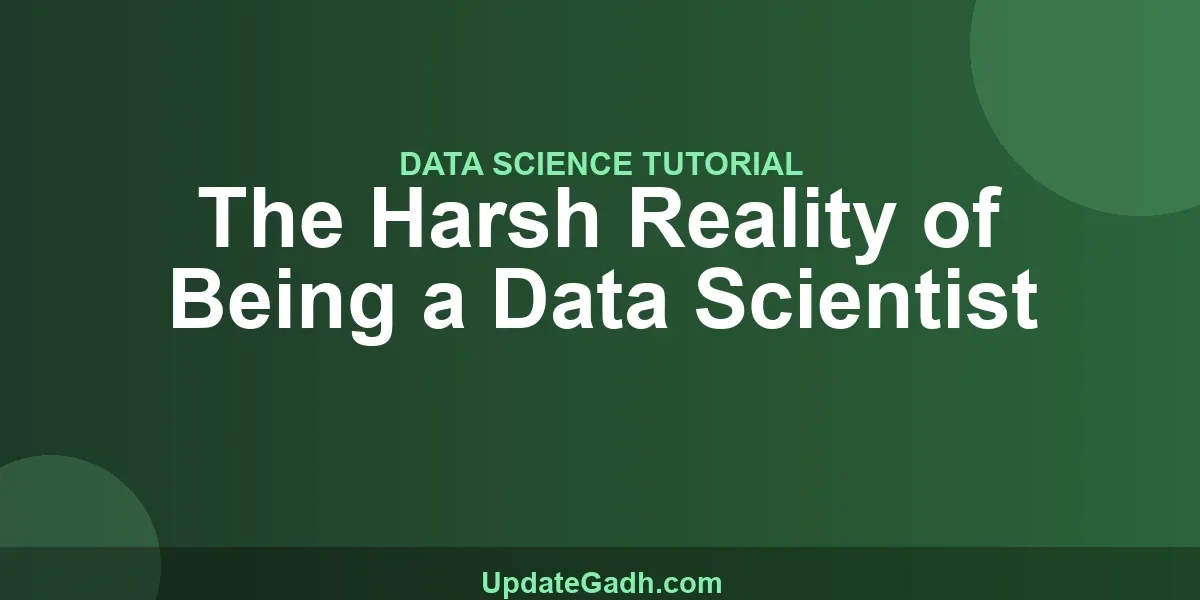 The Harsh Reality of Being a Data Scientist
