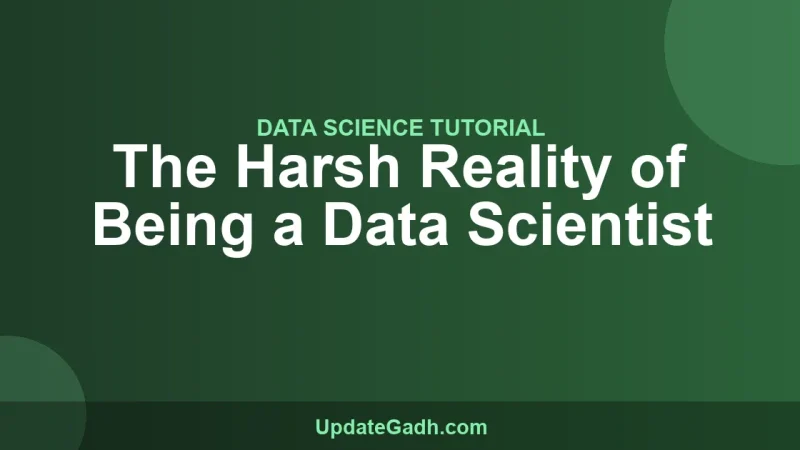 The Harsh Reality of Being a Data Scientist