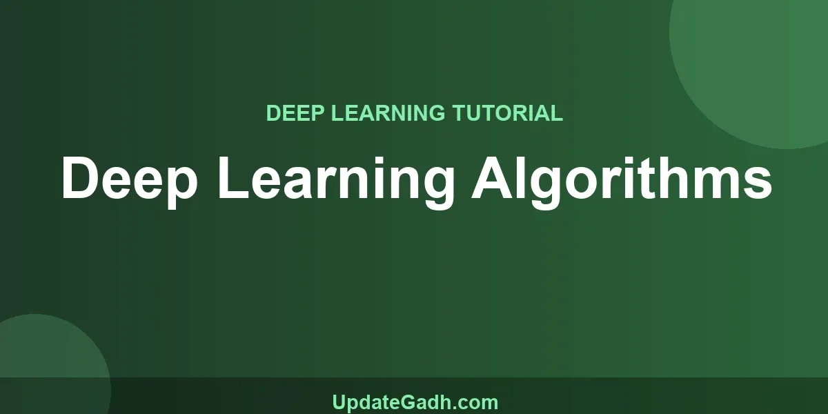 Deep Learning Algorithms