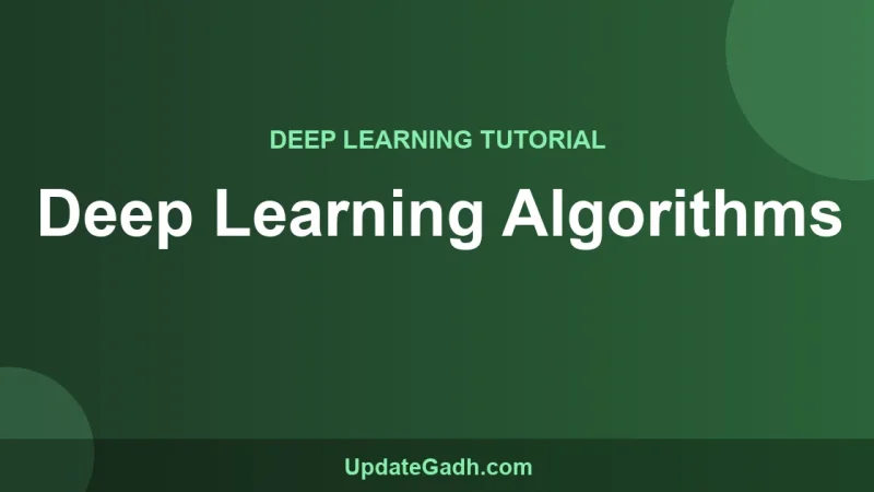 Deep Learning Algorithms