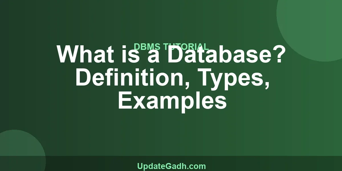 What is a Database? Definition, Types, Examples