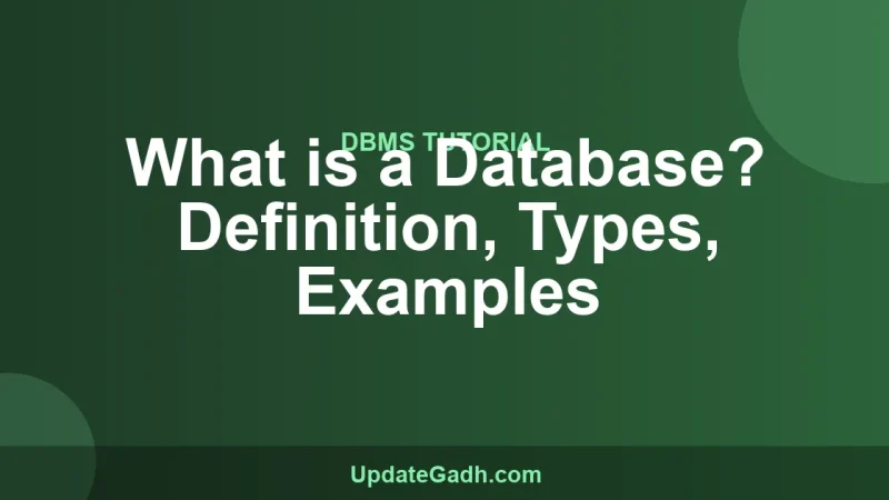 What is a Database? Definition, Types, Examples