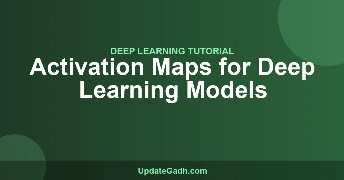 Activation Maps Deep Learning Models Guide 2024