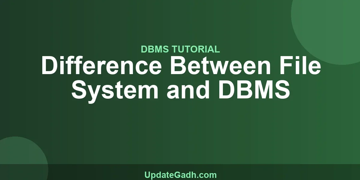 Difference Between File System and DBMS