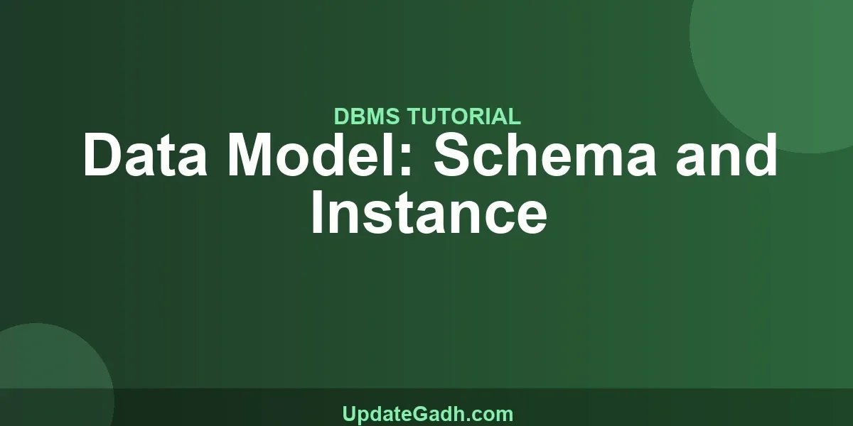 Data Model: Schema and Instance
