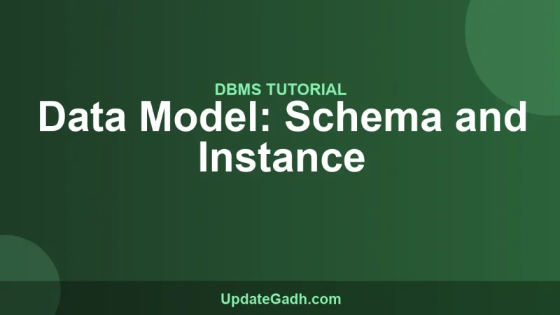 Data Model: Schema and Instance