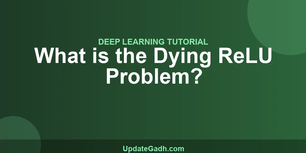 What is the Dying ReLU Problem?