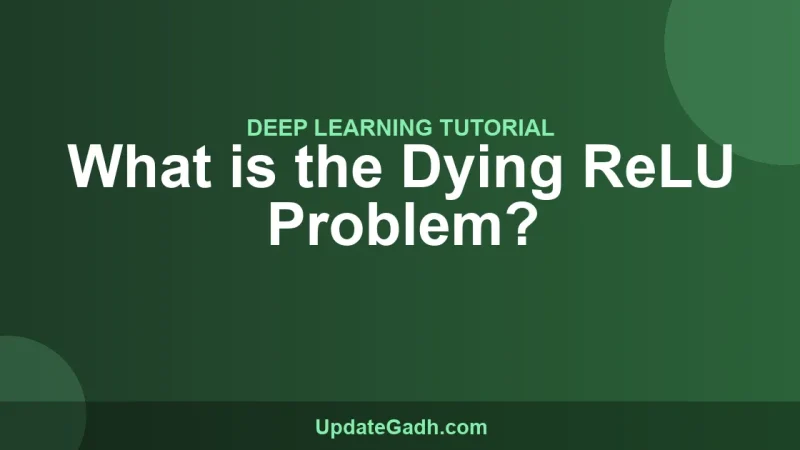 What is the Dying ReLU Problem?