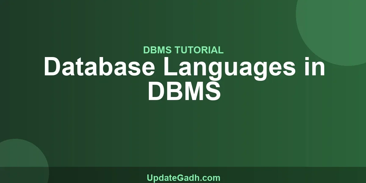 Database Languages in DBMS