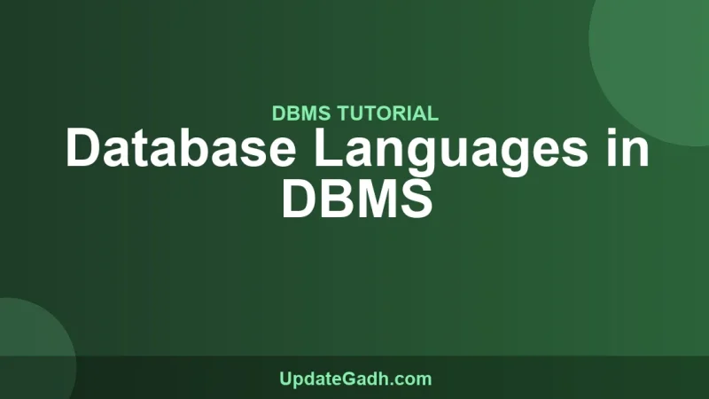 Database Languages in DBMS