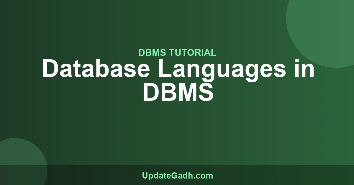 Database Languages in DBMS - Complete Guide 2024