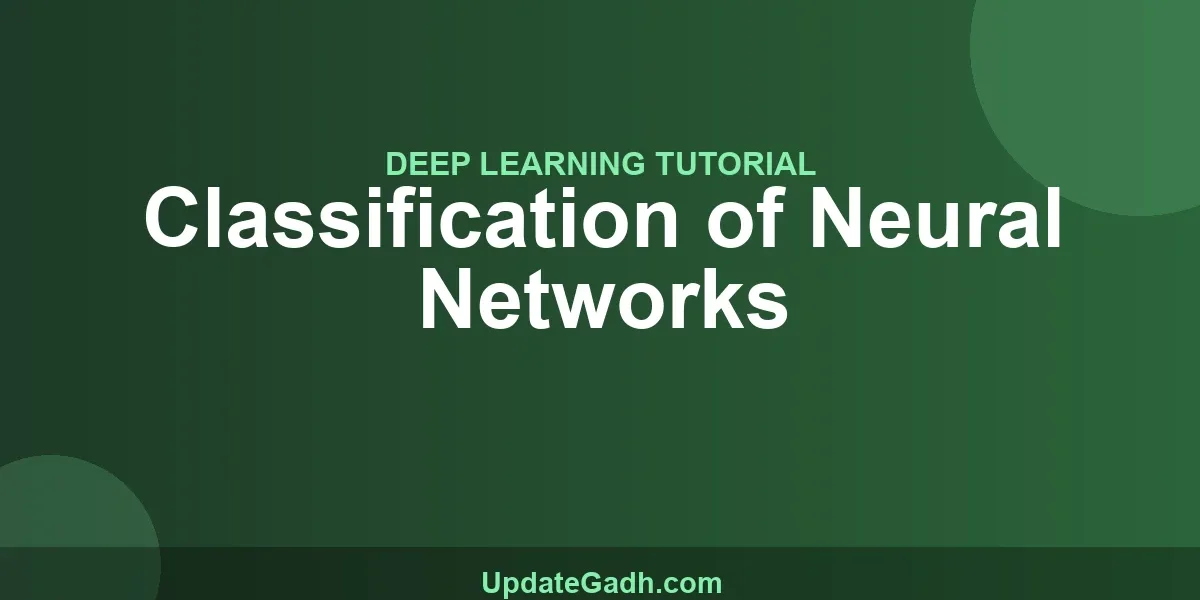 Classification of Neural Networks