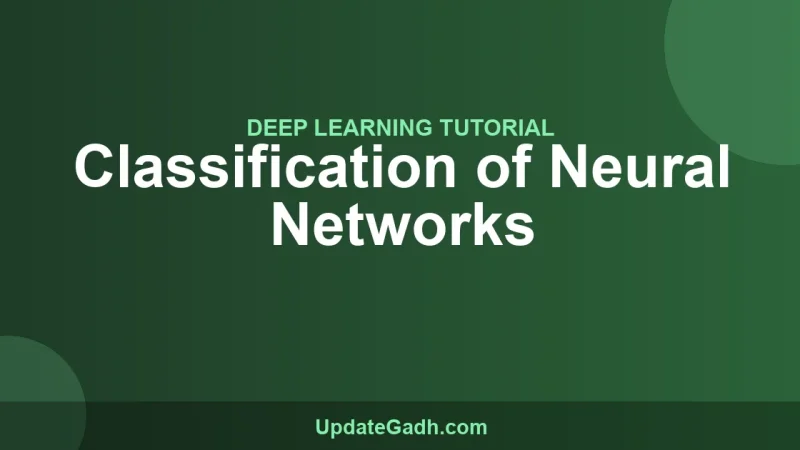 Classification of Neural Networks