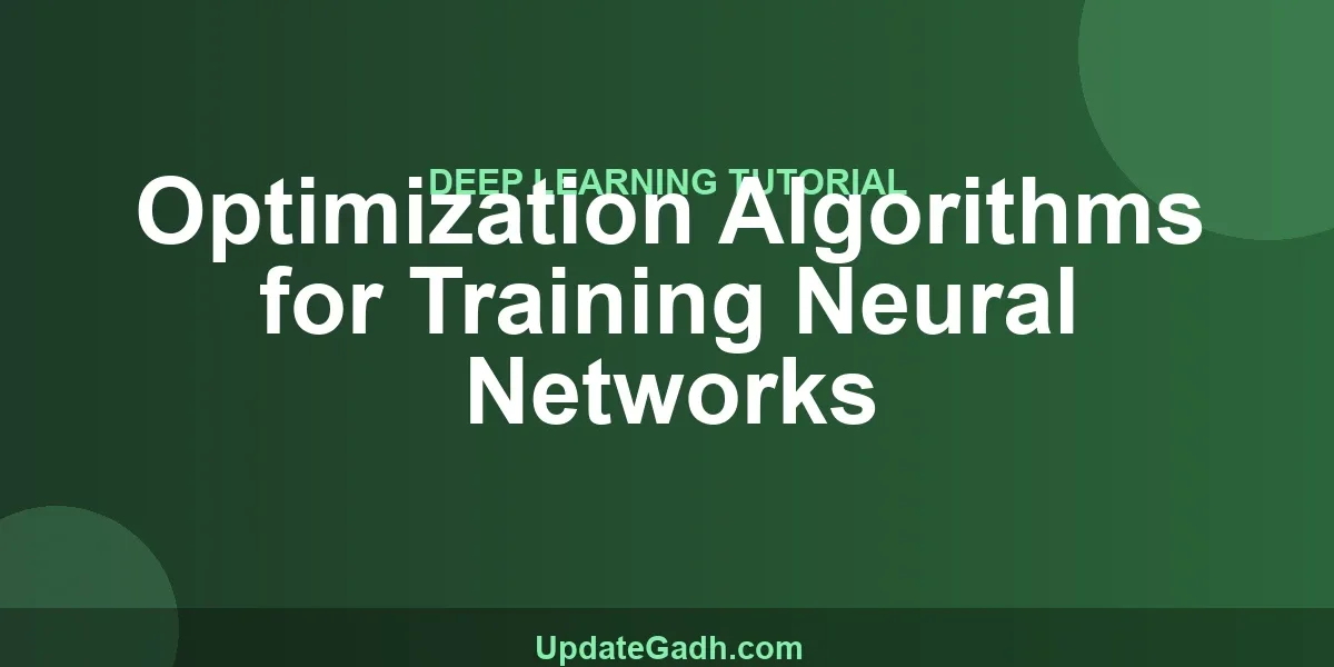 Optimization Algorithms for Training Neural Networks