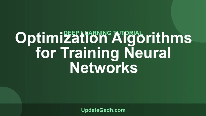 Optimization Algorithms for Training Neural Networks