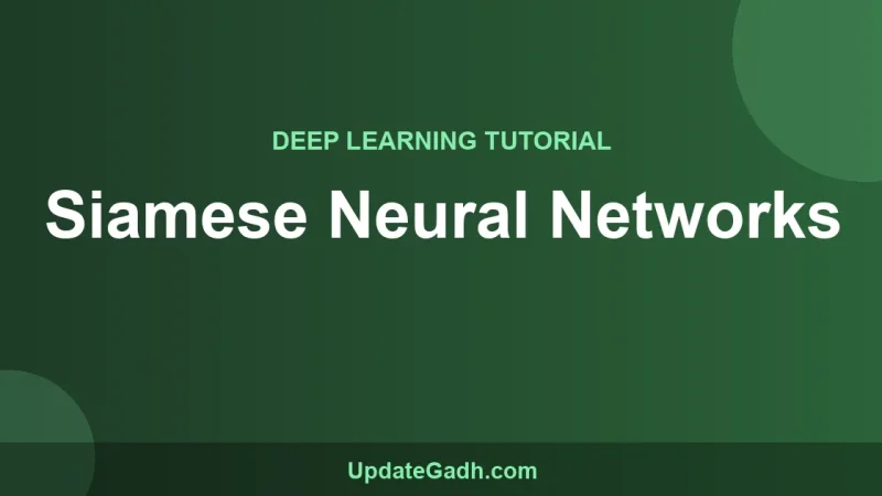 Siamese Neural Networks