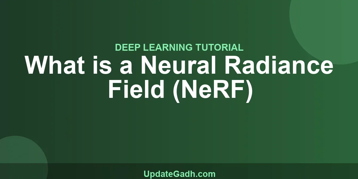 What is a Neural Radiance Field (NeRF)