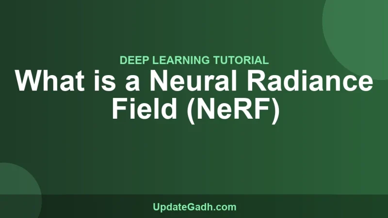 What is a Neural Radiance Field (NeRF)