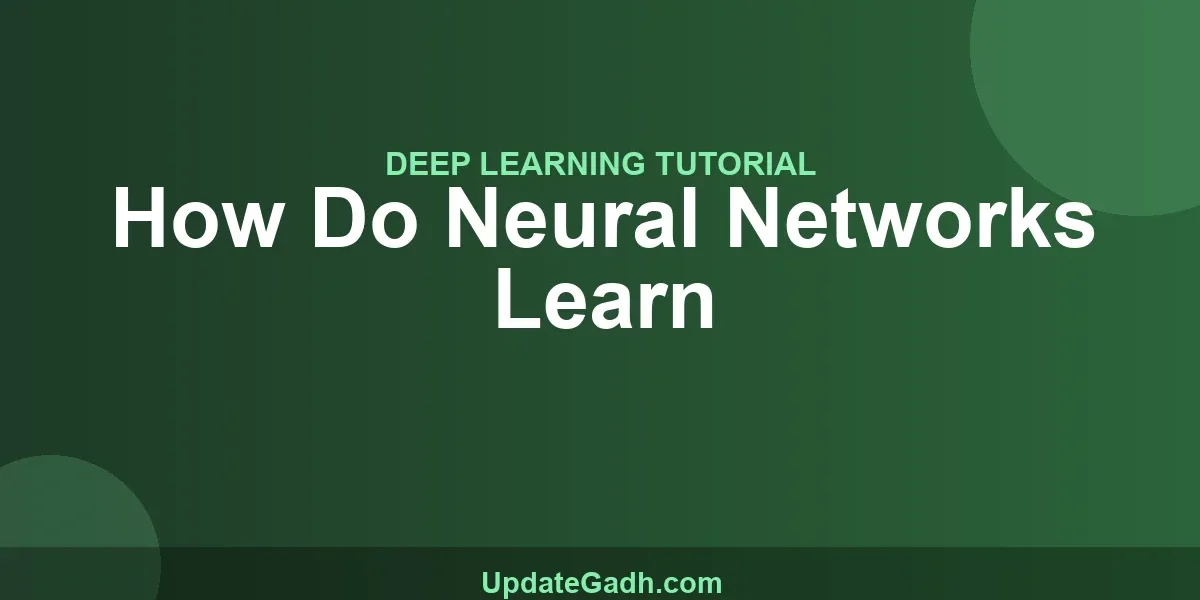How Do Neural Networks Learn