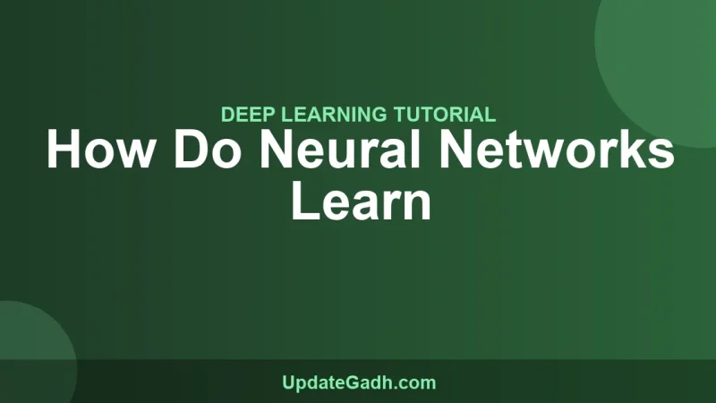 How Do Neural Networks Learn