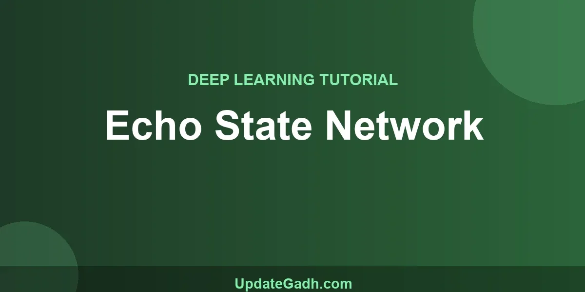 Echo State Network