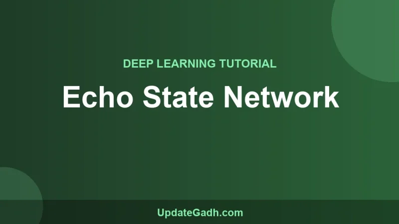 Echo State Network
