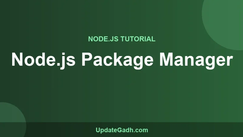 Node.js Package Manager