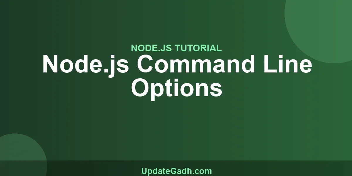 Node.js Command Line Options