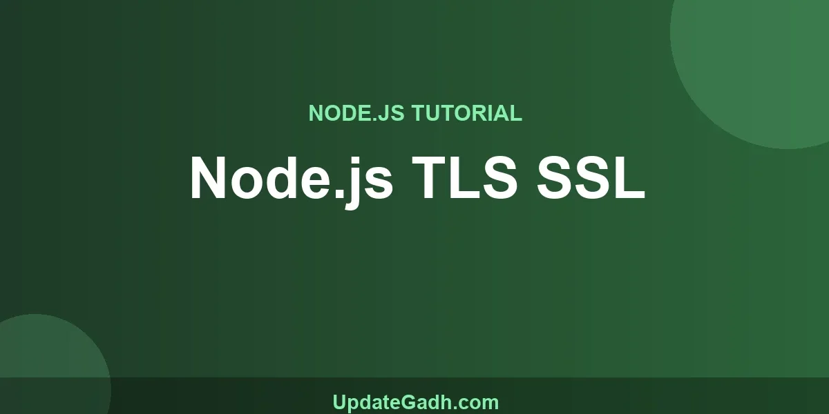 Node.js TLS SSL