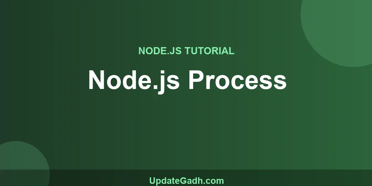 Node.js Process