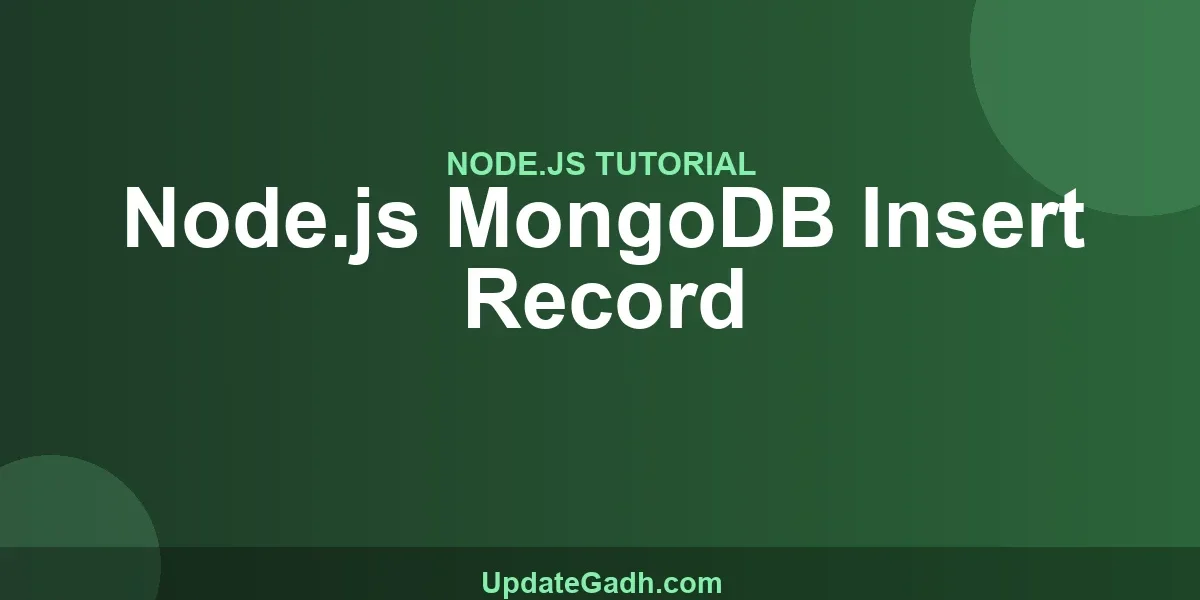 Node.js MongoDB Insert Record