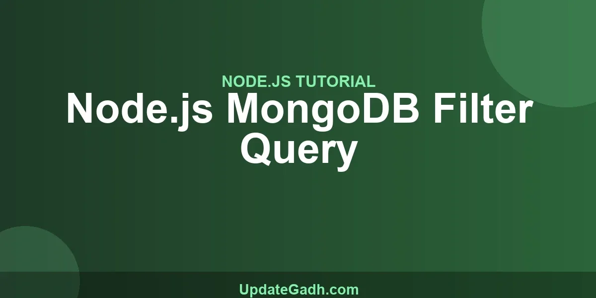 Node.js MongoDB Filter Query