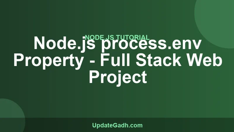 Node.js process.env Property - Full Stack Web Project