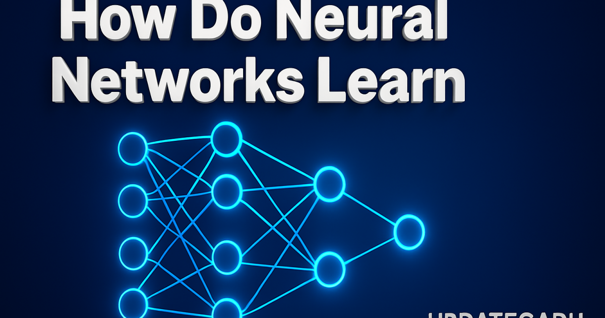 How Do Neural Networks Learn